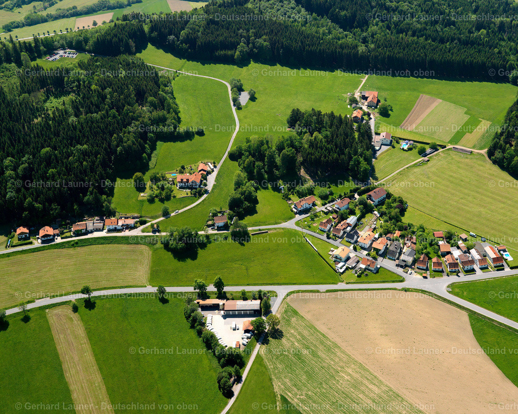 2724859 | Saunstein - Schönberg