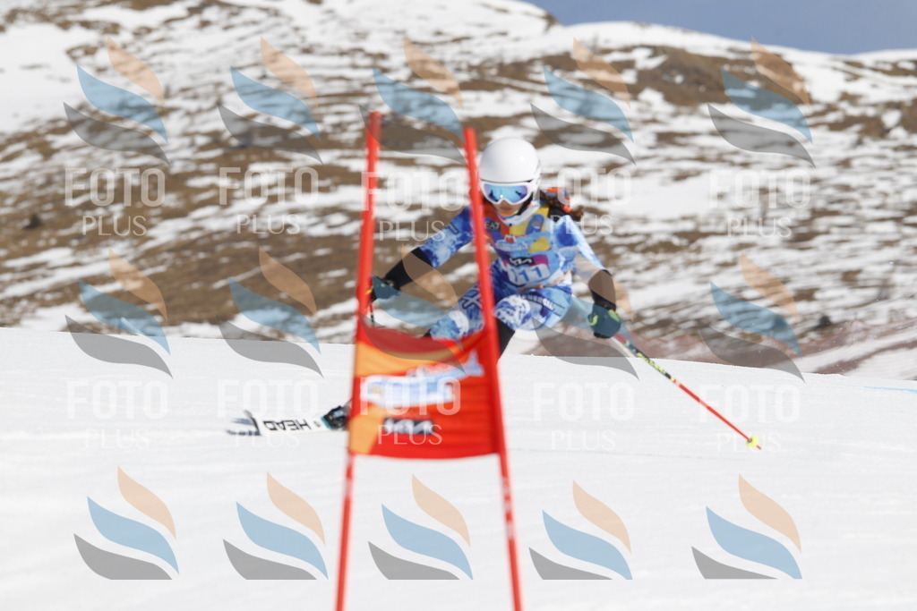 _U3G0515 | holidayphoto