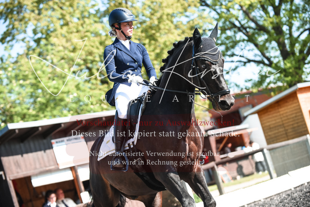 DSC_8578 | Pferde- und Turnierfotografie in Westsachsen. Pferdeportraits, Auftragszeichnungen und intuitive Kunst.