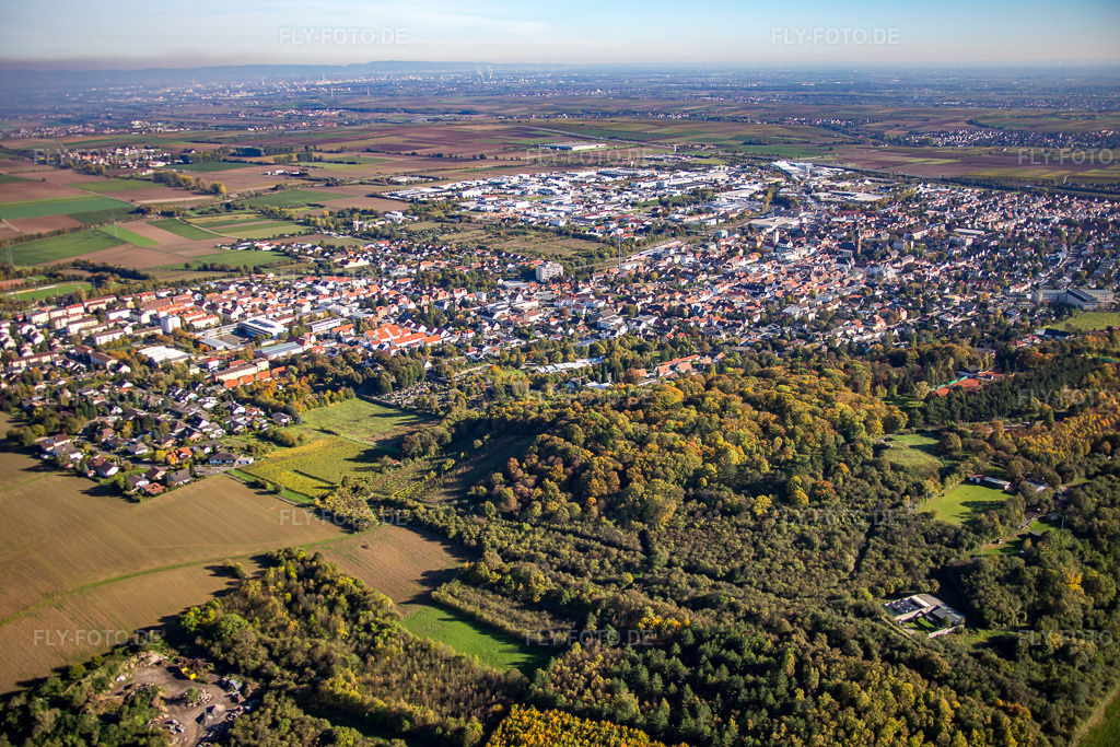 Luftbild: Ortsansicht von Nordwesten in Grünstadt im Bundesland Rheinland-Pfalz in Deutschland. Foto: IMG_074834.jpg vom 18.10.2014 durch Werner Riehm/FLY-FOTO.de