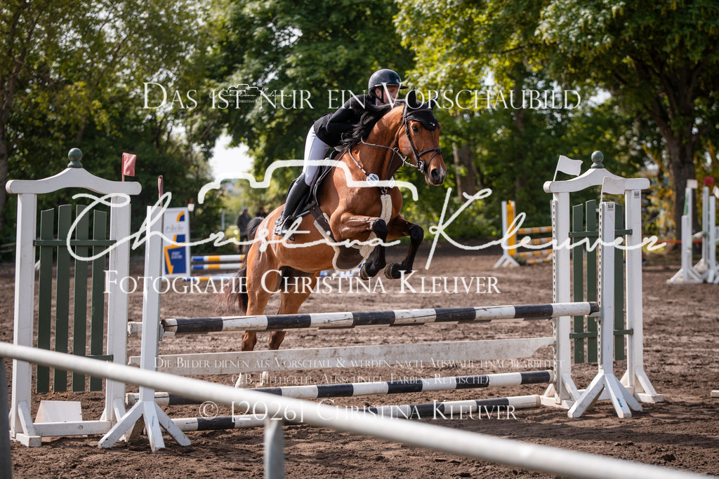 DSC_0367 | Christina-Kleuver