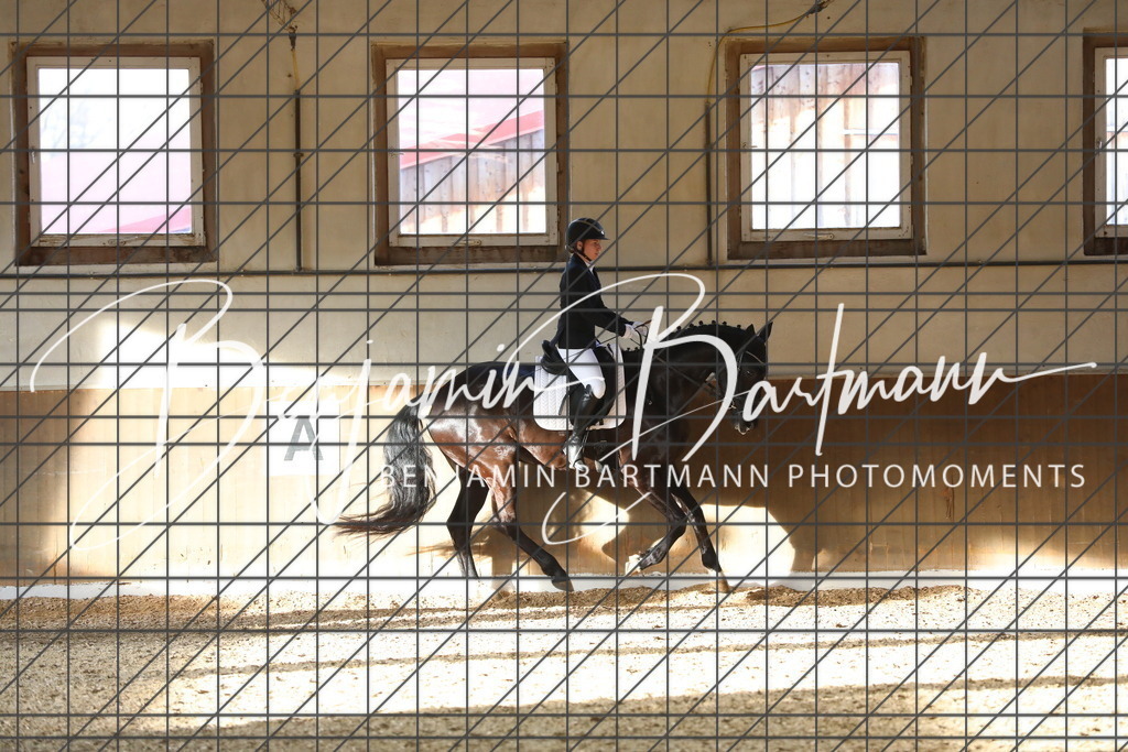 AZ2A9405 | Benjamin Bartmann Photomoments