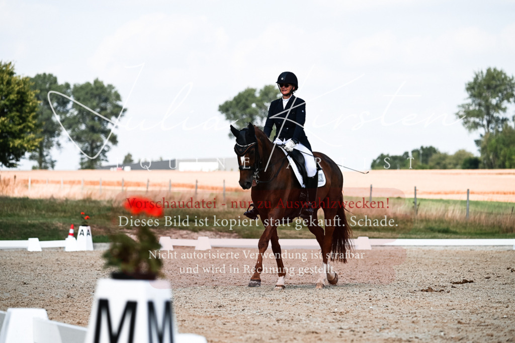 DSC_3196 | Pferde- und Turnierfotografie in Westsachsen. Pferdeportraits, Auftragszeichnungen und intuitive Kunst.