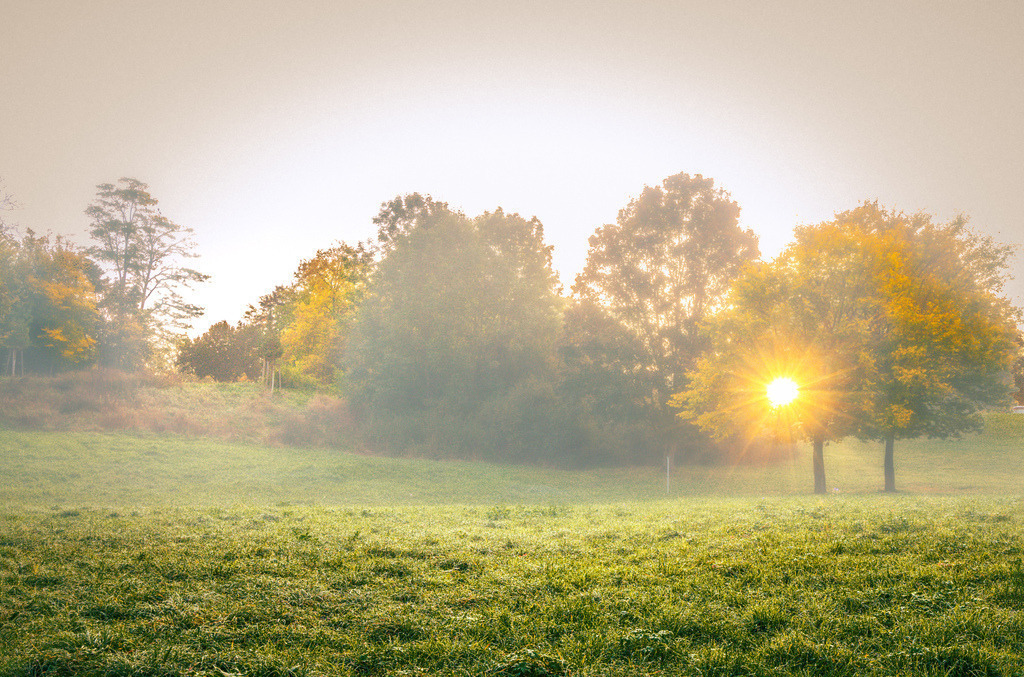 Ein herbstlicher Oktobermorgen im warmen Morgenlicht,Morgentau auf der Wiese,Max-Eyth-See in Stuttgart | Das ausgewählte Bild zeigt eine idyllische, neblige Landschaft im warmen Morgenlicht am Max-Eyth-See in Stuttgart, bei der die tiefstehende Sonne direkt durch die herbstlichen Bäume bricht.Das Foto fängt die typische Stimmung eines goldenen Oktobermorgens mit feuchtem Bodennebel und beginnender Laubfärbung perfekt ein. - Realisiert mit Pictrs.com