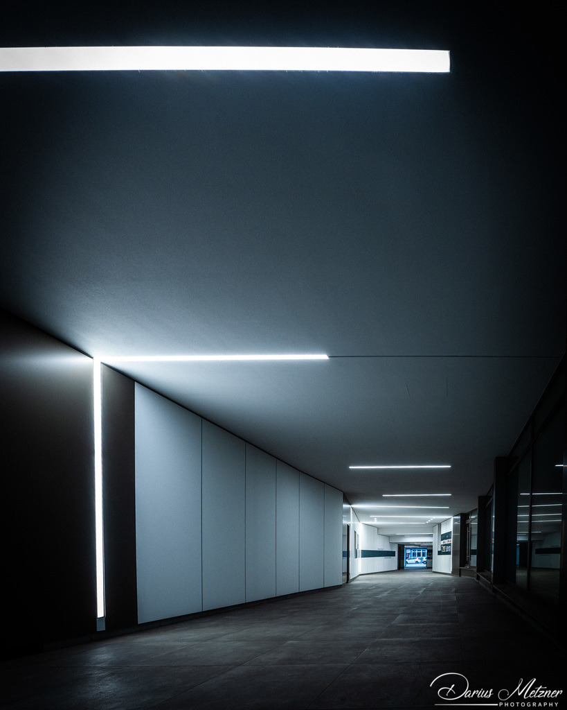 _DSC2628 | Fotografien, Fotos und Bilder aus Mainz, Frankfurt, Wiesbaden und anderen Orten auf der Welt - Fotografiert von Darius Metzner