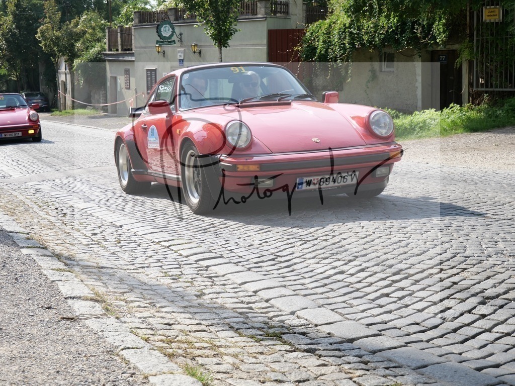 P1000190 | Gerhard Witt