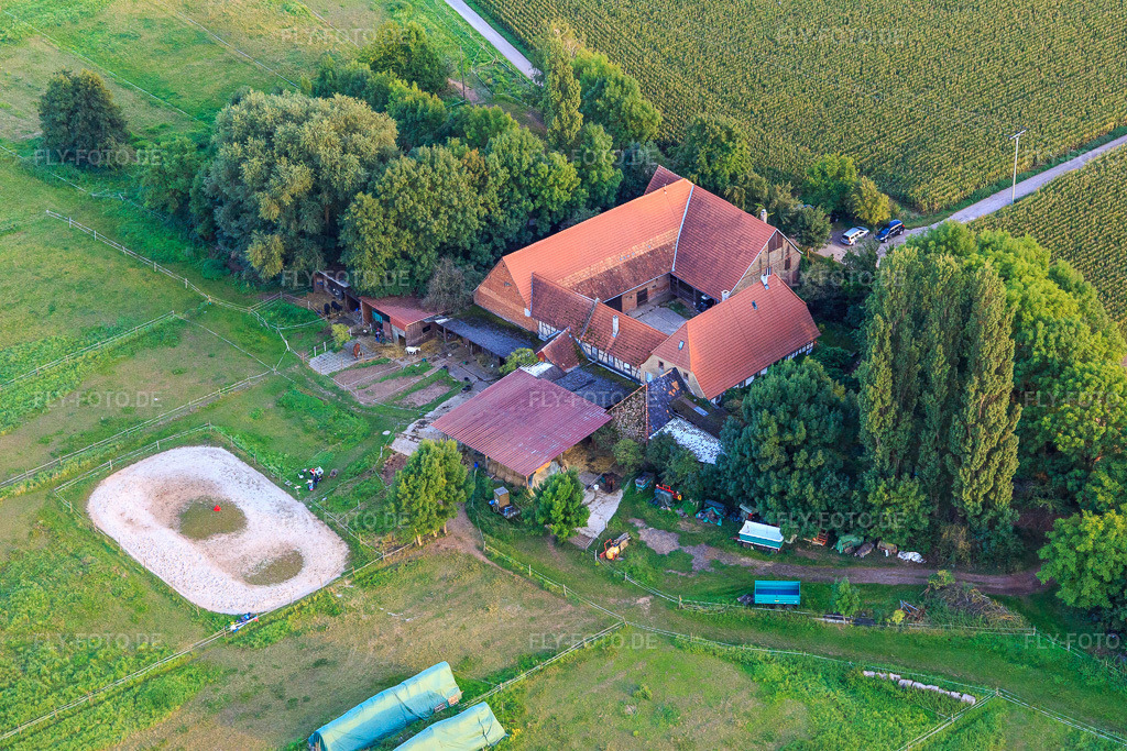 Luftbild: Pferdehof am Erlenbach im Ortsteil Drusweiler in Oberhausen im Bundesland Rheinland-Pfalz in Deutschland. – Foto: IMG_103243.jpg vom 03.09.2017 durch Werner Riehm/FLY-FOTO.de – Auflösung des Originals: 5472 x 3648 px
