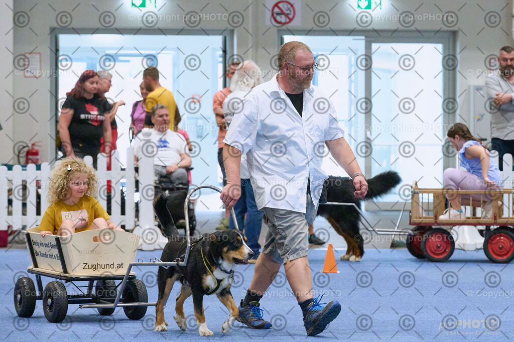 202406_ÖKV-IHA-Tulln24_DSC_4653 | proPHOTO - Realisiert mit Pictrs.com