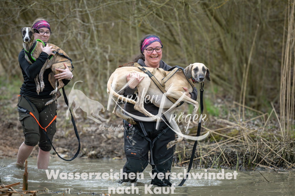 1637_ZZ95932 | kk-dogfotos