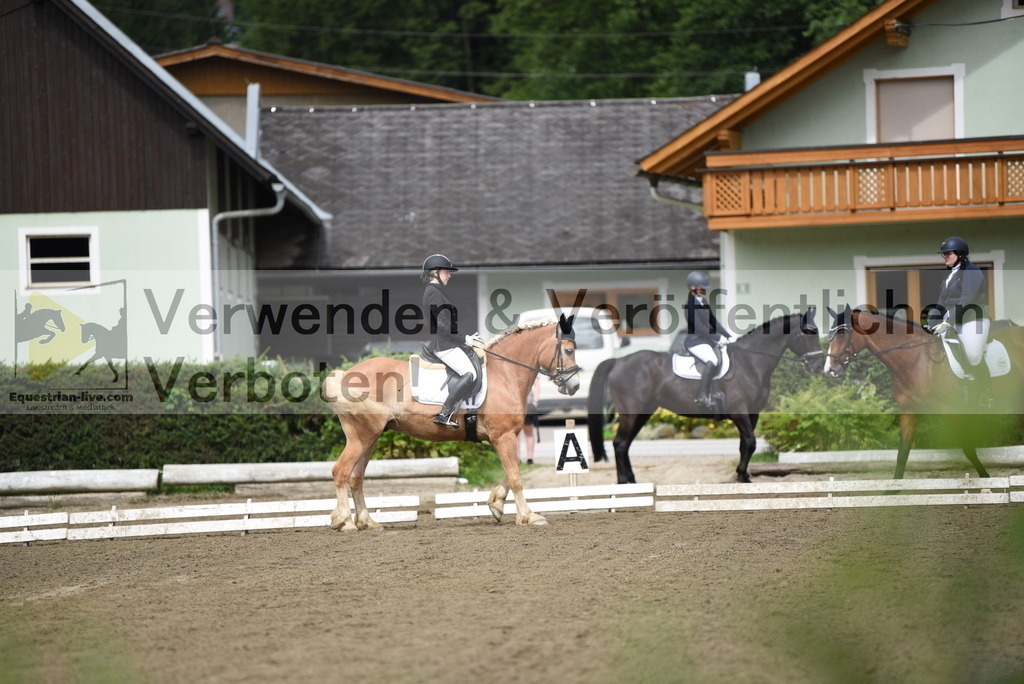 DSC_3796 | equestrian-live-com