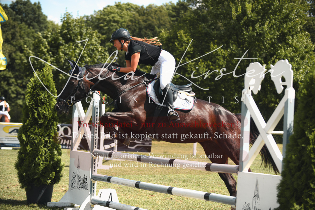DSC_6683 | Pferde- und Turnierfotografie in Westsachsen. Pferdeportraits, Auftragszeichnungen und intuitive Kunst.