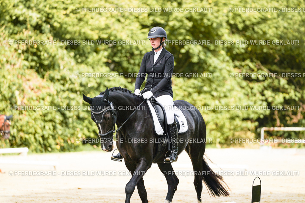 DSC02139 | Pferdegrafie