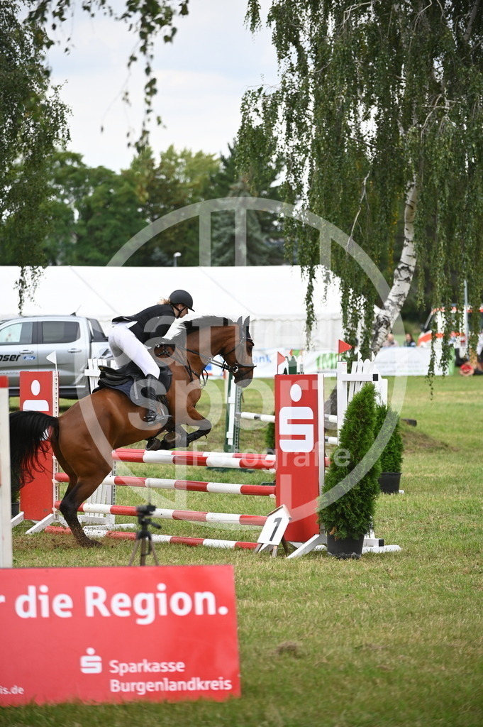 DSC_2487 | sattelsport - Realisiert mit Pictrs.com