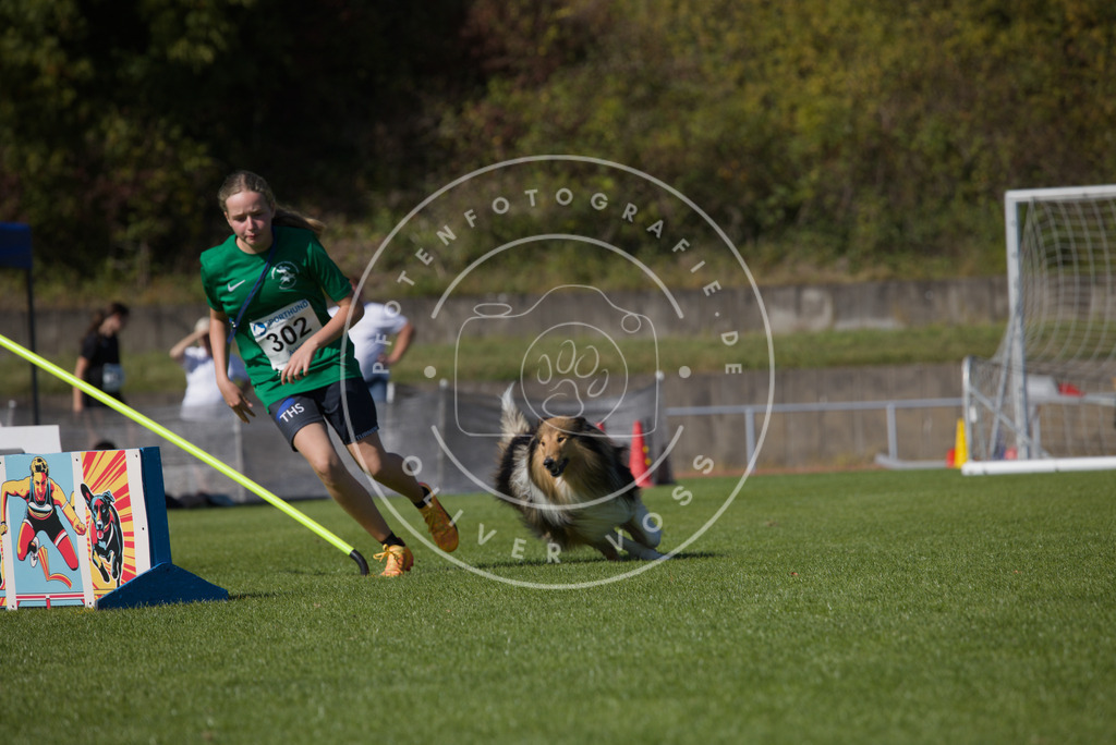 0L8A7696 | Hundefotografie, Tierfotograf, Pfotenfotografie, Fotoshooting Hund, Hunde Portrait, Hundesport, Hundeportraits, Heideshooting, Hunde, Sportfotograf, Hundefotograf, Turnierhundsport, THS,  - Realisiert mit Pictrs.com