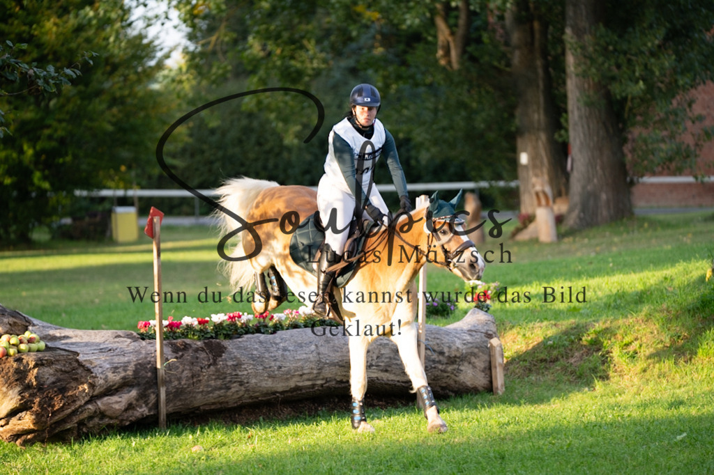 A7V02841 | Pferdefotograf