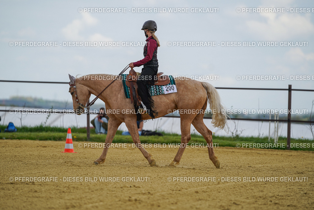 DSC05781 | Pferdegrafie