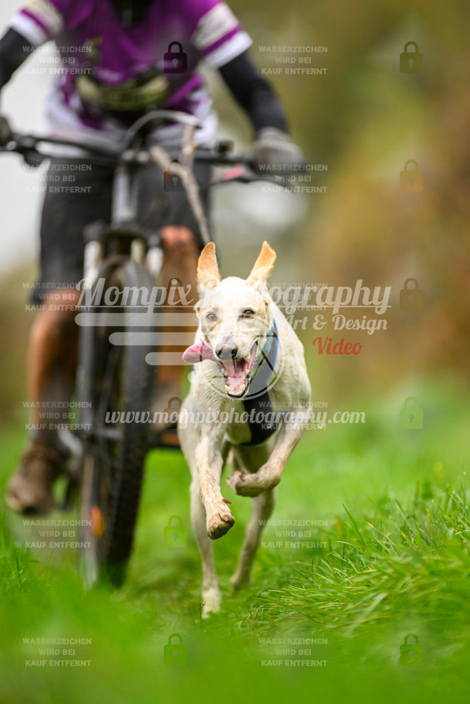 MompixPhotography_20TSB_E8_Bike-115 | PayLife