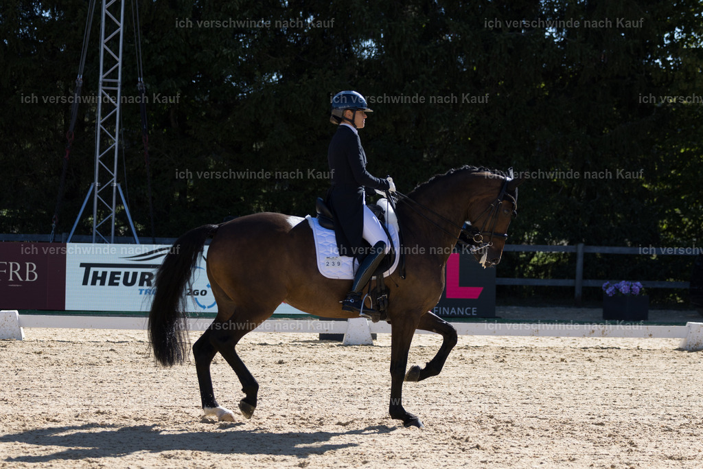 FHC2026_P07_239_17740 | working equitationturnier fotograf videograf stoibphotography marixx film working equitation deutschland reitsport turnierfotografie eventfotografie equestrian events