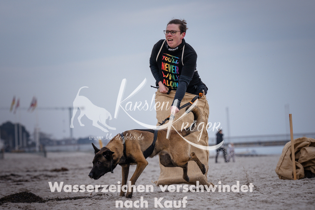 1211_ZZ92404 | kk-dogfotos