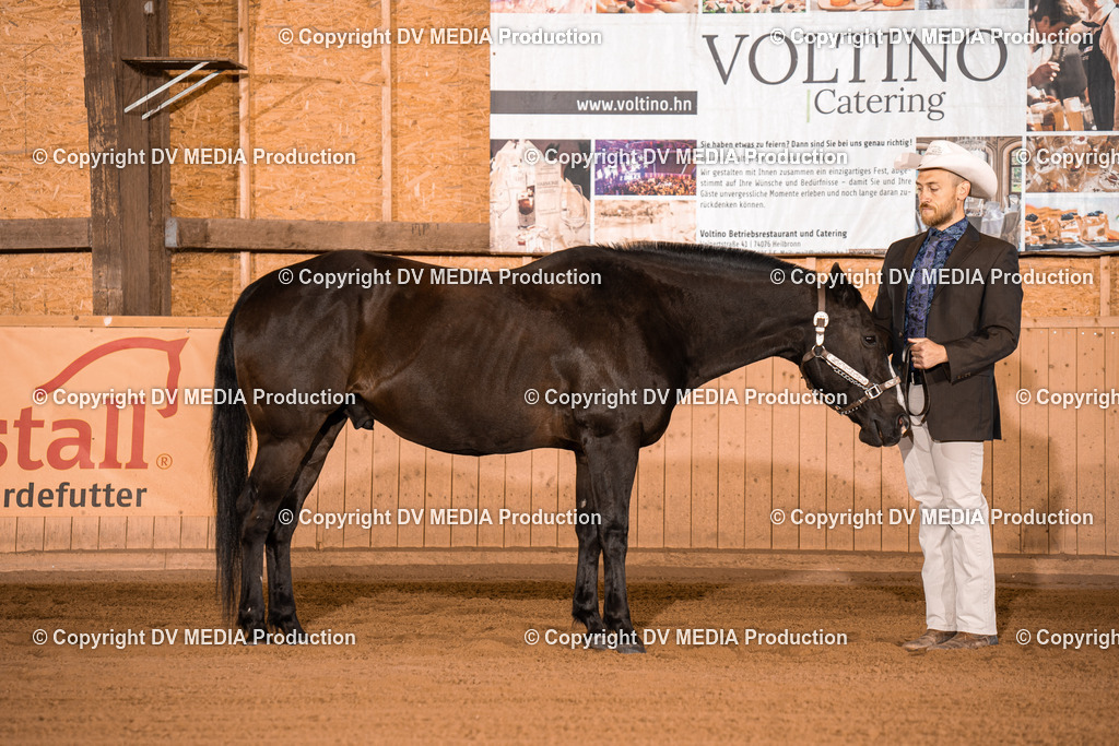 NE100078 | dv-media-shop - Realisiert mit Pictrs.com