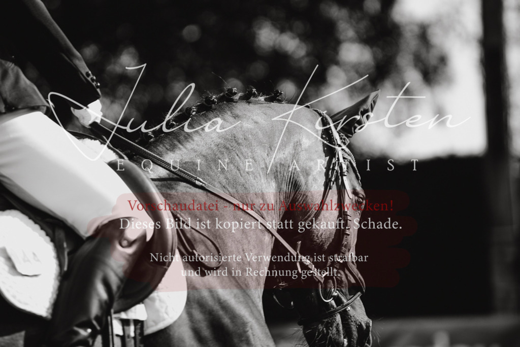 DSC_3241 | Pferde- und Turnierfotografie in Westsachsen. Pferdeportraits, Auftragszeichnungen und intuitive Kunst.