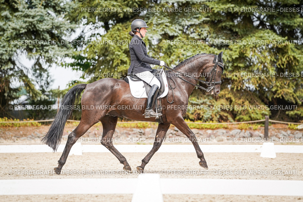 DSC06828 | Pferdegrafie