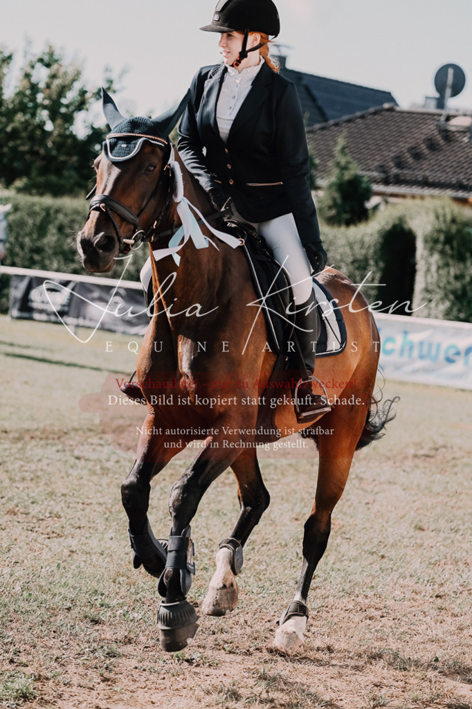 DSC_4943 | Pferde- und Turnierfotografie in Westsachsen. Pferdeportraits, Auftragszeichnungen und intuitive Kunst.