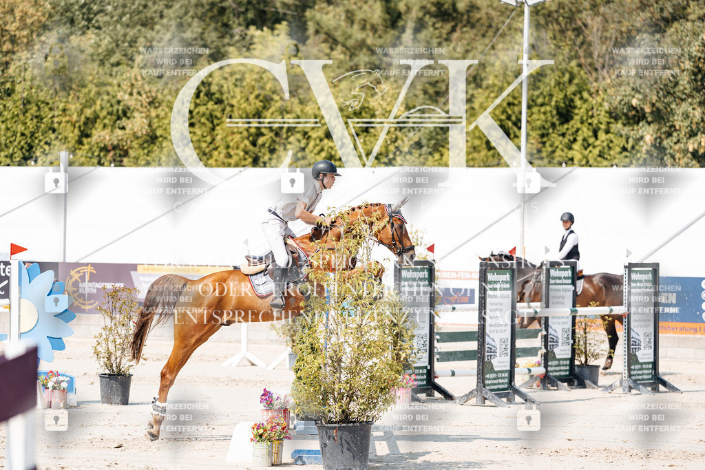 CK901456 | Turnierfotografie Pferdefotografie Trier Rheinland-Pfalz Pferdesport Reitsport Tierfotografie Sportfotografie Pferdevideo Pferdevideografie Equestrianvideography equestrianphotography  - Realisiert mit Pictrs.com