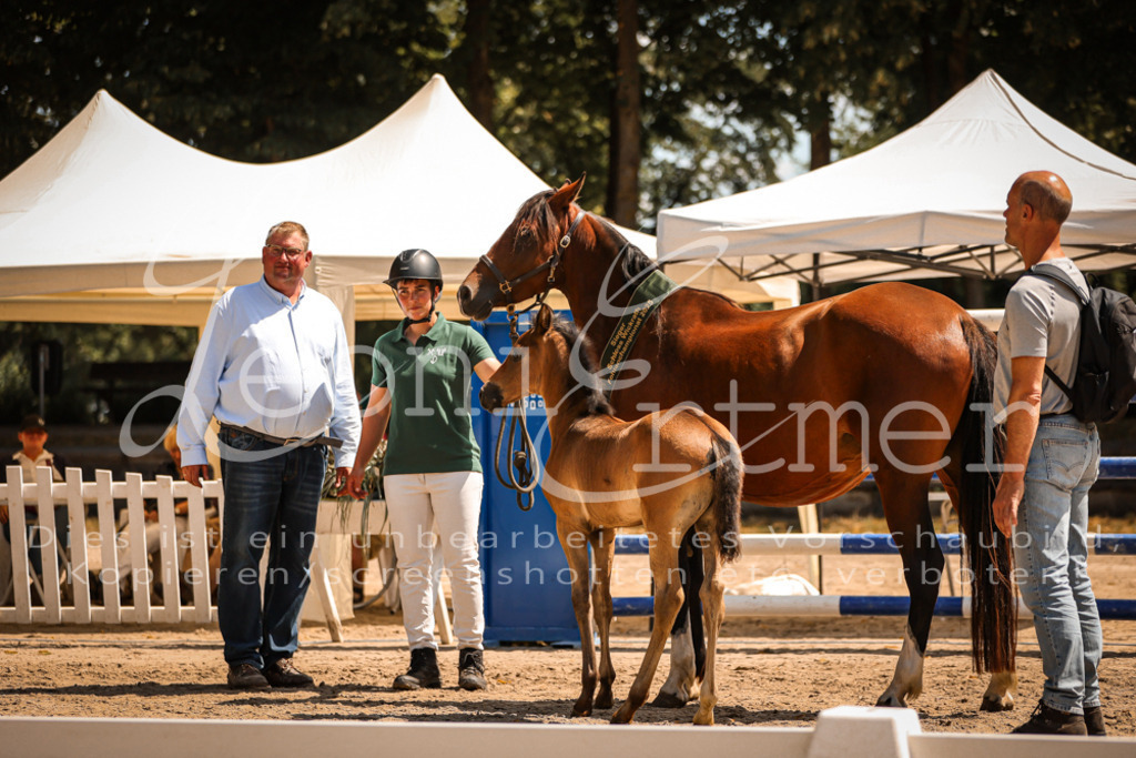 03.DoAB00071 | Leoni Ertmer Photography - Realisiert mit Pictrs.com