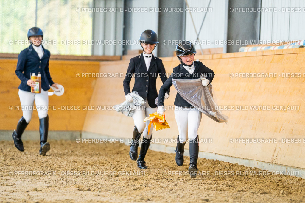 DSC06598 | Pferdegrafie