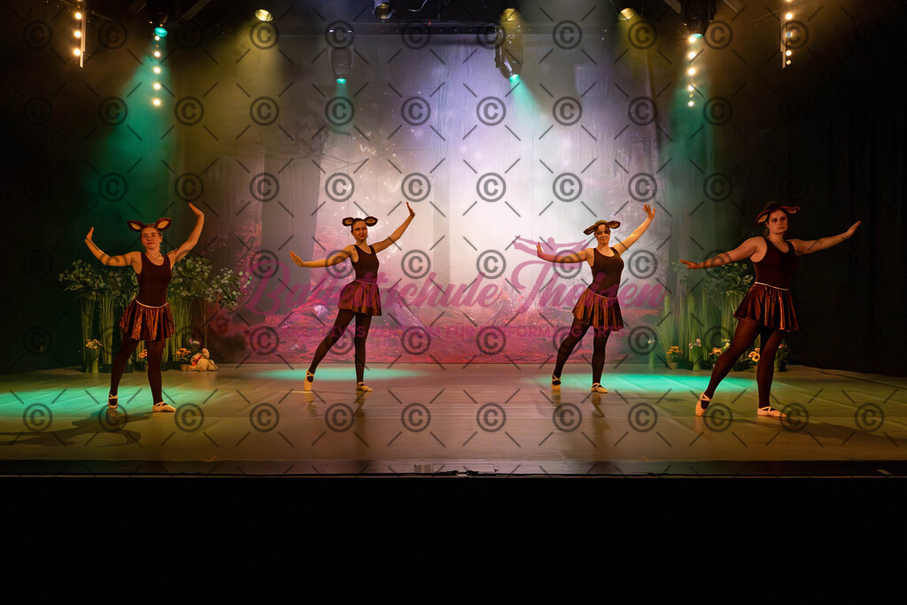 Ballettaufführung-33 | Bildershop Lem'n Entertainment - Realisiert mit Pictrs.com