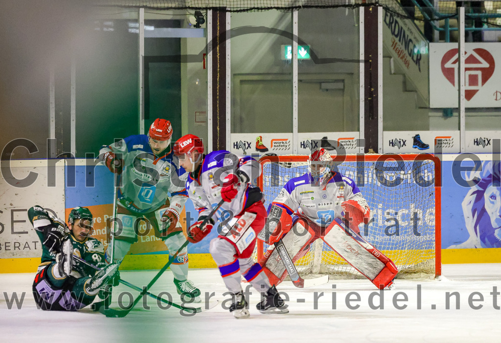 2026-02-15_064_TSV_Erding_gegen_EC_Peiting | Erding, Deutschland, 15.02.2026:Eishockey, Oberliga Süd 2025 / 2026, 47. Spieltag, TSV Erding gegen EC Peiting, Endergebnis: 4:5Maximilian Forster (Erding Gladiators, #81)Foto: Christian Riedel / fotografie-riedel.net