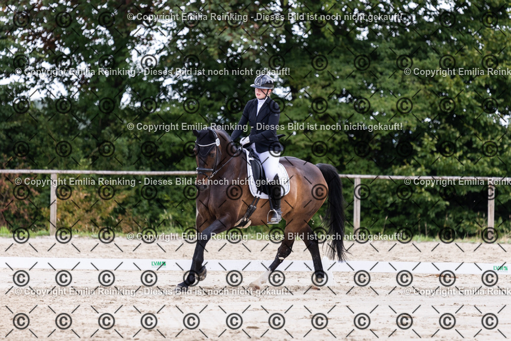 CL5A1987 | Emilia Reinking Fotografie - Realisiert mit Pictrs.com