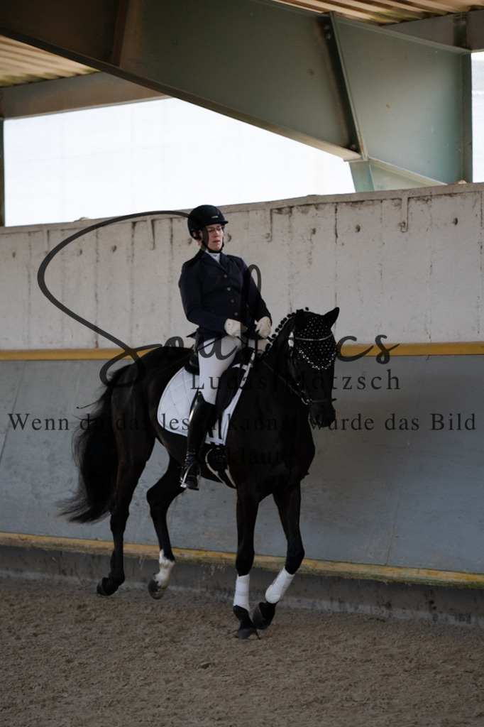 A7V04591 | Pferdefotograf