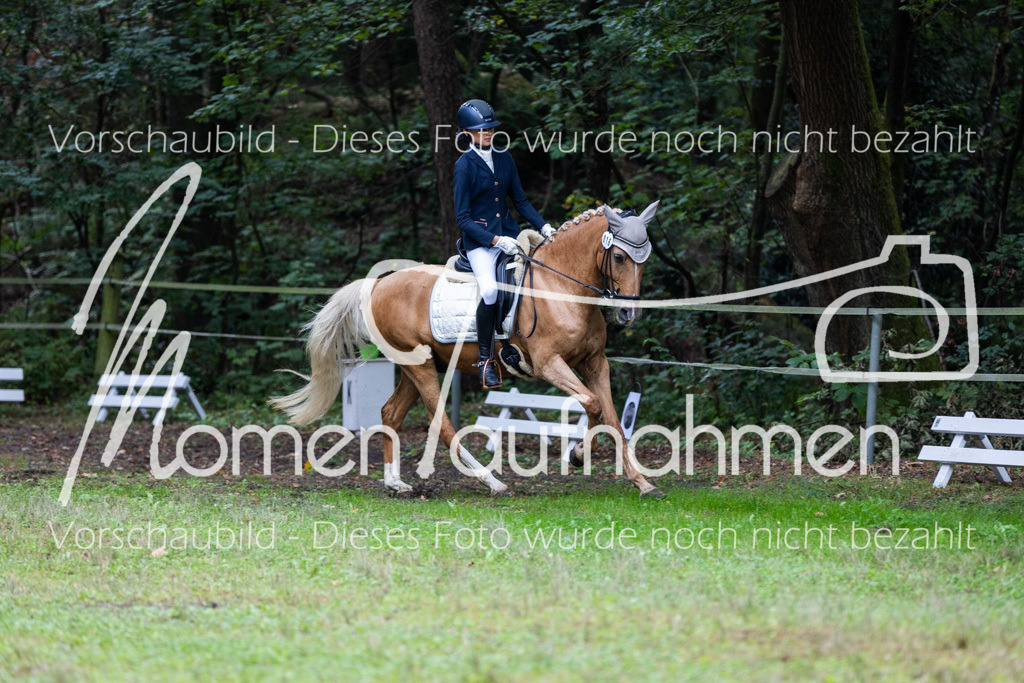 HB-A-Dressur-030 | MomenTaufnahmen Pferdesportfotos