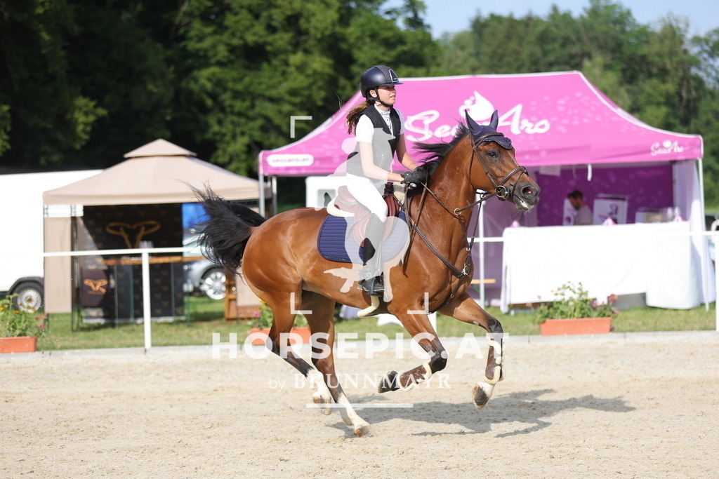 0P6A1325 | Willkommen bei Brunnmayr - Design & Fotografie – Ihrem Spezialisten für Reitturniere und Pferdeveranstaltungen in Oberösterreich, Salzburg und Bayern! Seit über 17 Jahren sind wir leidenschaftlich dabei.