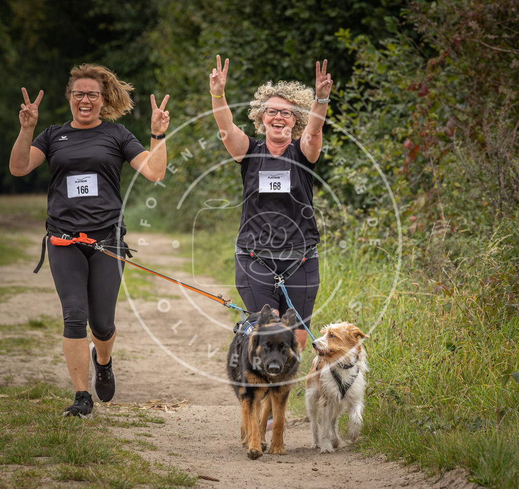 Pfotenfotografie_DV3A7259 | Hundefotografie, Tierfotograf, Pfotenfotografie, Fotoshooting Hund, Hunde Portrait, Hundesport, Hundeportraits, Heideshooting, Hunde, Sportfotograf, Hundefotograf, Turnierhundsport, THS,  - Realisiert mit Pictrs.com