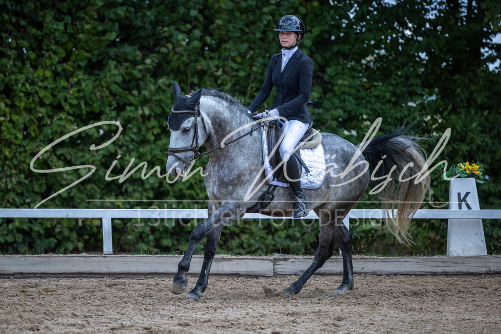 20260905-_3LI8152 | Tierfotografie Pferde, Hunde, Katzen, Haustiere.
Turnierfotografie Reitturniere, Reiten, Springreiten, Dressur in Hanau, dem Main-Kinzig-Kreis und dem Rhein-Main- Gebiet um Frankfurt