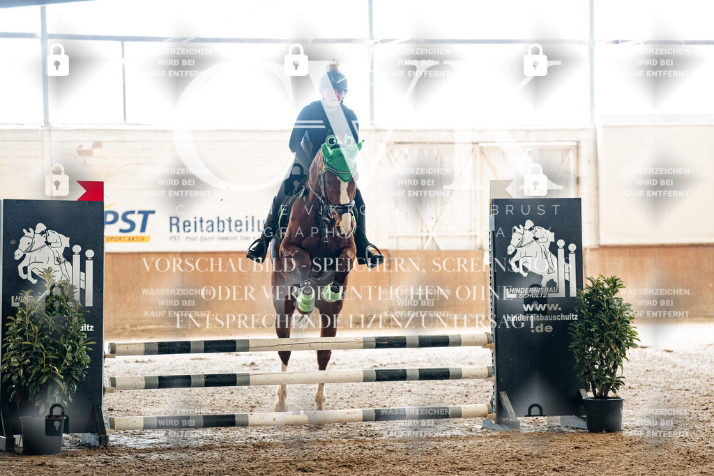 CK905443 | Turnierfotografie Pferdefotografie Trier Rheinland-Pfalz Pferdesport Reitsport Tierfotografie Sportfotografie Pferdevideo Pferdevideografie Equestrianvideography equestrianphotography  - Realized with Pictrs.com