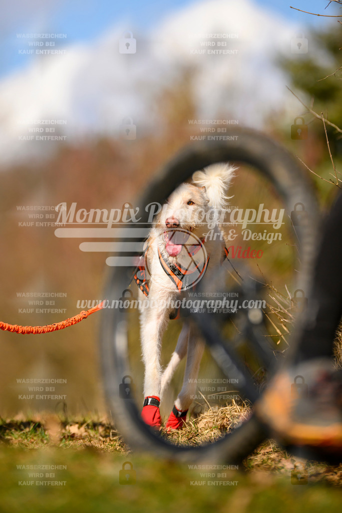 MompixPhotography_10Schwabentrail2026_SO_Scooter-172 | PayLife