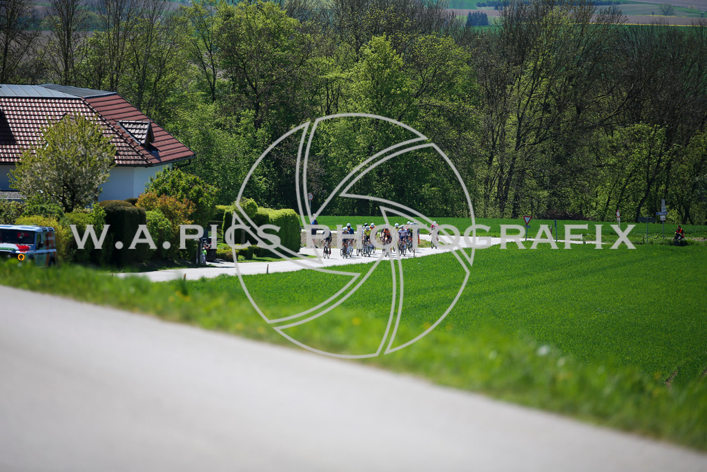 ..... | Wels, 23.04.2026, Kirschblüten Radrennen 2026 , Image shows: Photo: Wapics / Willdoner Andreas