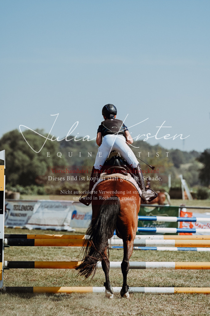 DSC_9810 | Pferde- und Turnierfotografie in Westsachsen. Pferdeportraits, Auftragszeichnungen und intuitive Kunst.