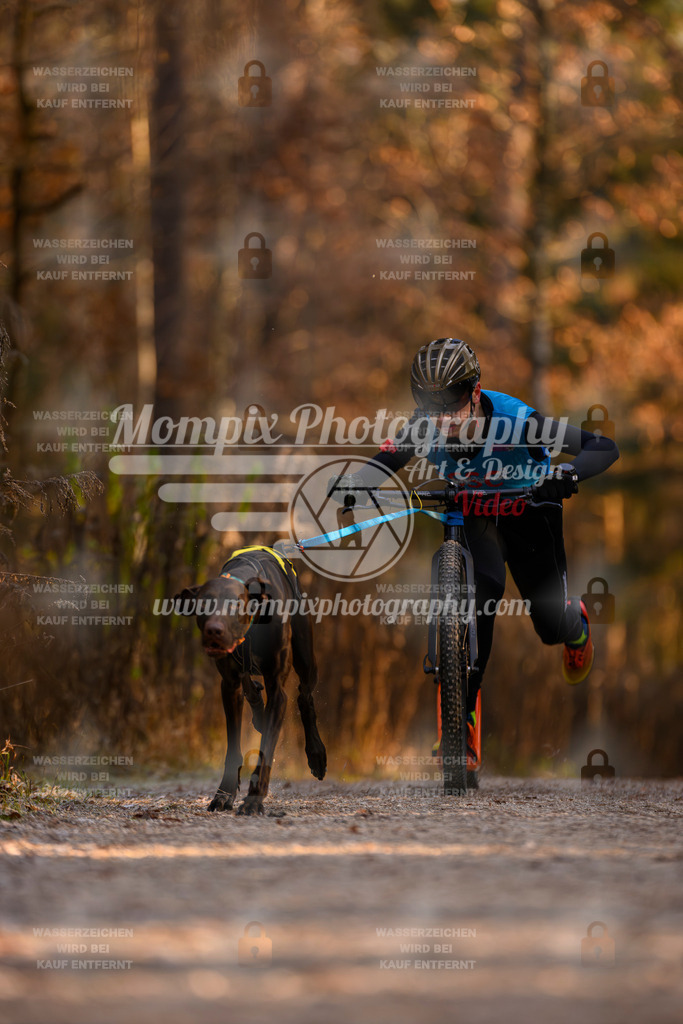 MompixPhotography_DM_AKDM_SO_2025_Scooter-79 | PayLife