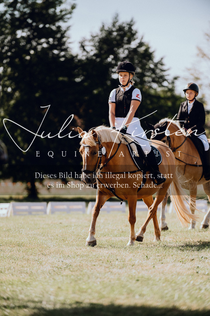 DSC_7051 | Pferde- und Turnierfotografie in Westsachsen. Pferdeportraits, Auftragszeichnungen und intuitive Kunst.