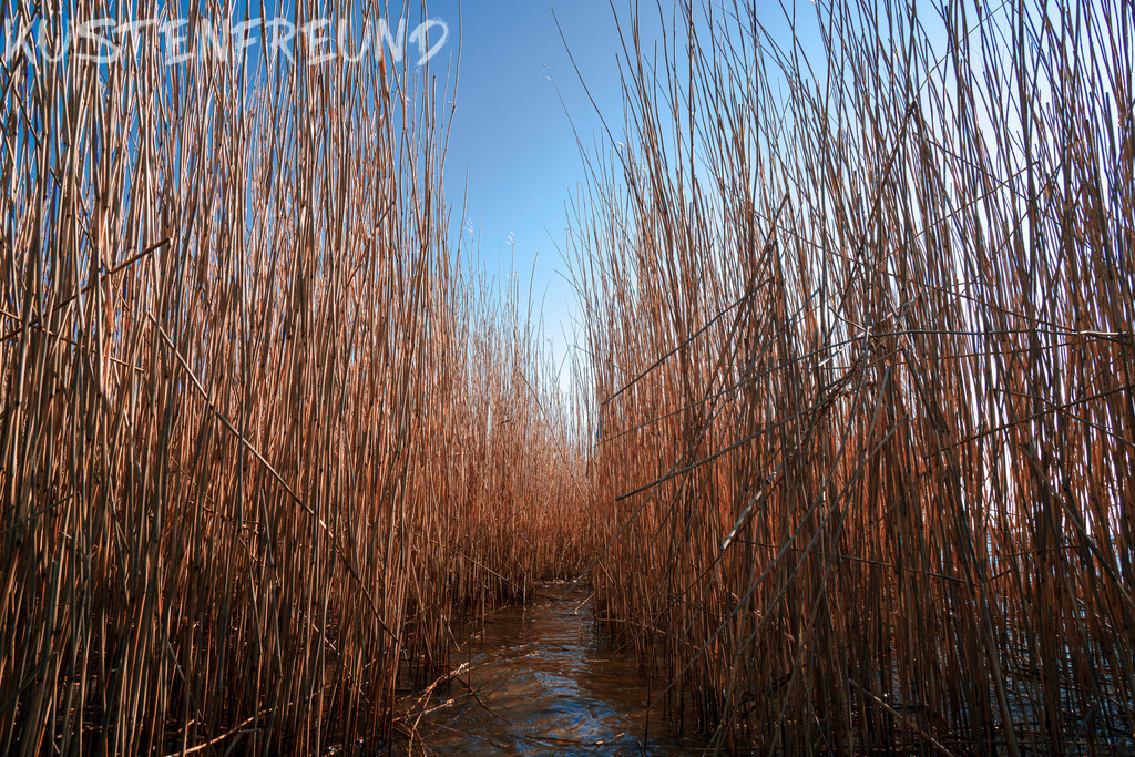 DSC5786 | Entdecke deine Lieblingslandschaft von der Küste – auf Ostsee Leinwand, Nordsee Leinwand, Alu Dibond oder Acrylglas, passend für jeden Geschmack und Raum.