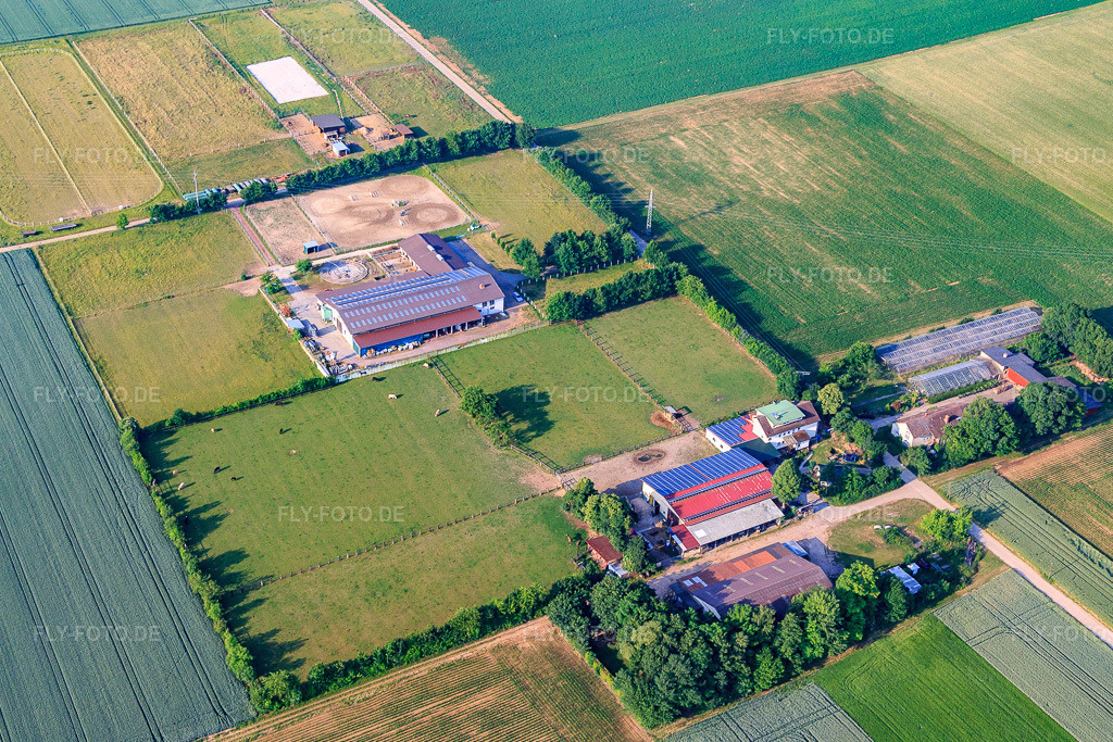 Luftbild: Rosenhof und Eichenhof Seither in Ottersheim bei Landau im Bundesland Rheinland-Pfalz in Deutschland. Foto: IMG_080687.jpg vom 12.06.2015 durch Werner Riehm/FLY-FOTO.de