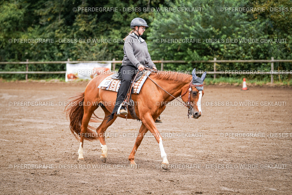 DSC05600 | Pferdegrafie