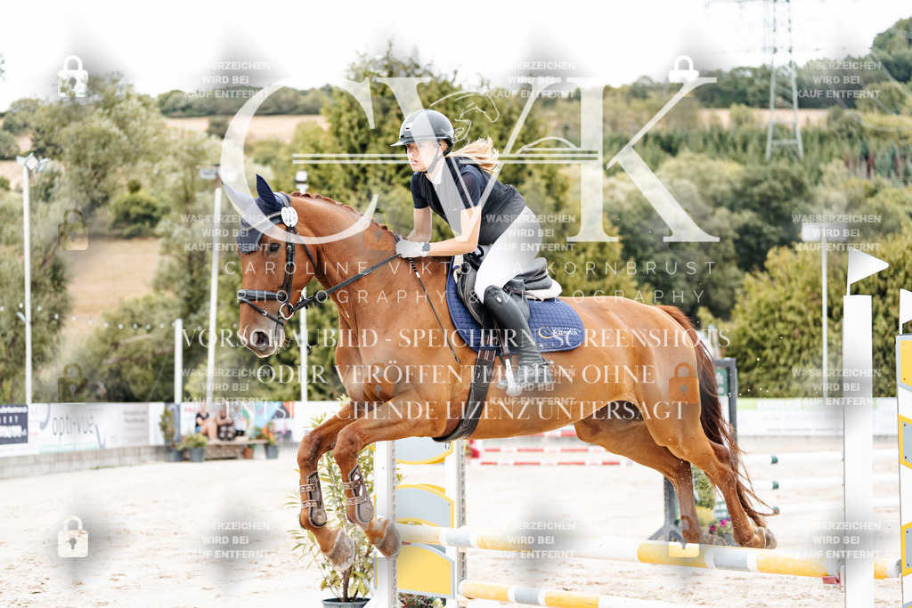 CK908354 | Turnierfotografie Pferdefotografie Trier Rheinland-Pfalz Pferdesport Reitsport Tierfotografie Sportfotografie Pferdevideo Pferdevideografie Equestrianvideography equestrianphotography  - Realisiert mit Pictrs.com