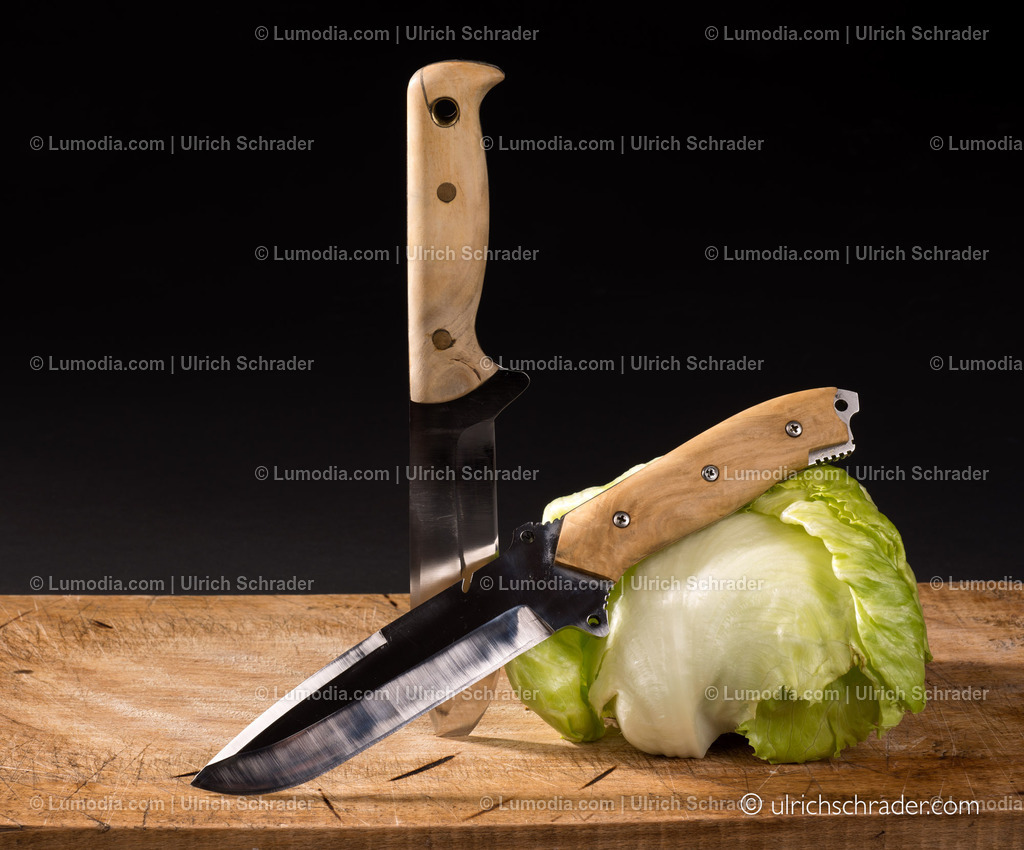 _ulrichschrader.com-74 | Stockfoto und Bilderpool mit Bildmaterial aus Deutschland, dem Harz, Halberstadt, Quedlinburg, Wernigerode und weltweit. Qualitativ hochwertige und professionelle Fotos anschauen und kaufen. - Realisiert mit Pictrs.com