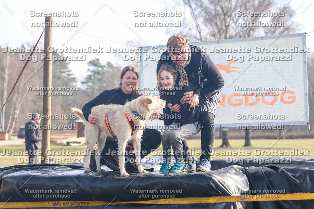 Dog Paparazzi - Strongdog North Mrz26-278 | Dog Paparazzi Jeanette Grottendiek Fotografie & Videografie - Realisiert mit Pictrs.com
